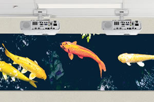 EB-L260F Wall size projection