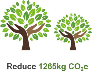 zh350 Co2