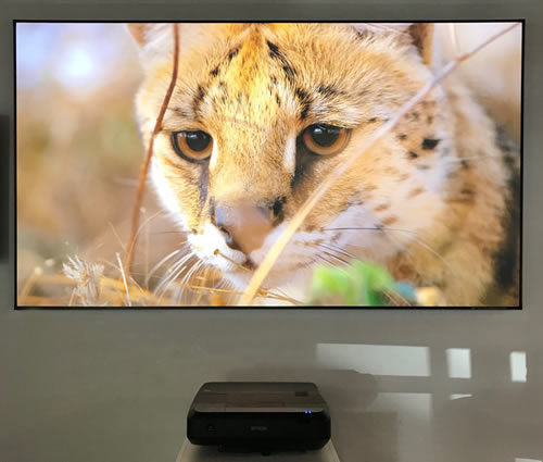 Elite Screens StarBright Aeon ALR Fixed Projector Screen